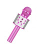 MICROFONO KARAOKE SIN LUZ W-858