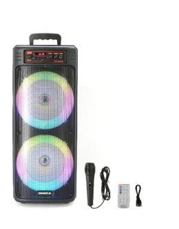 BAFLE 2X8 ONICA A002 C/MIC CTROL R