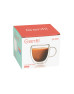 TAZA C/MANIJA DOBLE VIDRIO 250ML 68